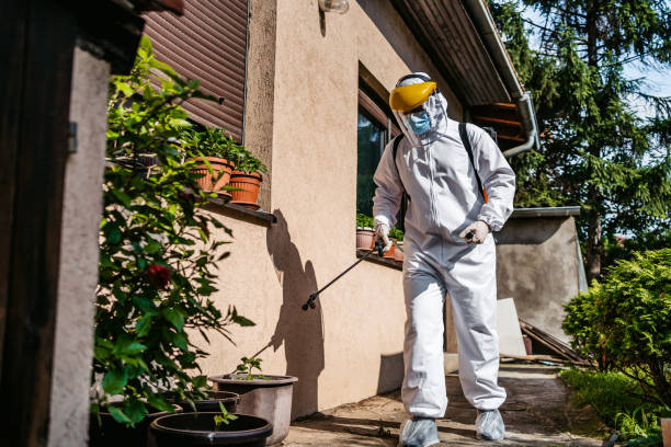 Flea Control Services in La Palma, CA