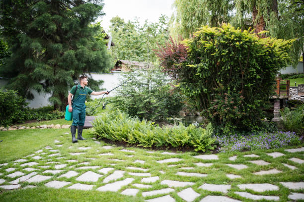 Best Pest Control Treatment  in La Palma, CA