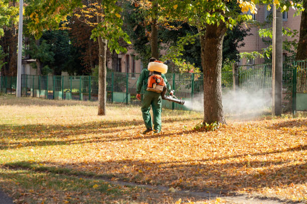 Best Pest Control Near Me in La Palma, CA